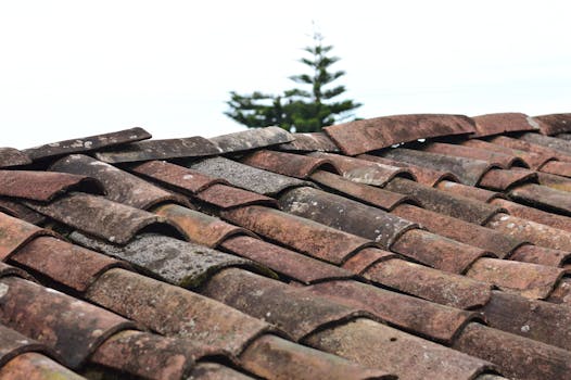 The Surprising Truth About Home Roof Insulation: Stop Wasting Money and Energy!