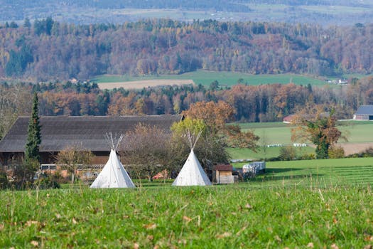 Decoding Diablo Valley College: More Than Just a Stepping Stone?