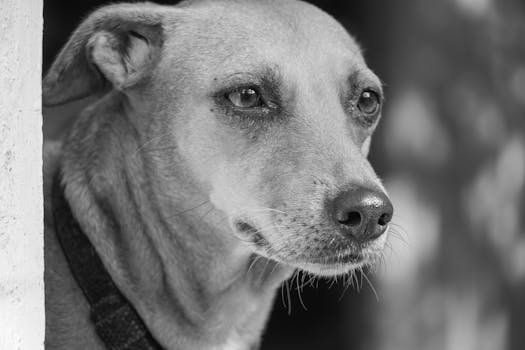 The Secret Sauce: Mastering How To Increase Customer Loyalty Strategically