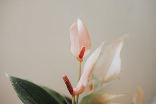 Unveiling the Allure: Mastering Trending Blush and Highlighter Combos
